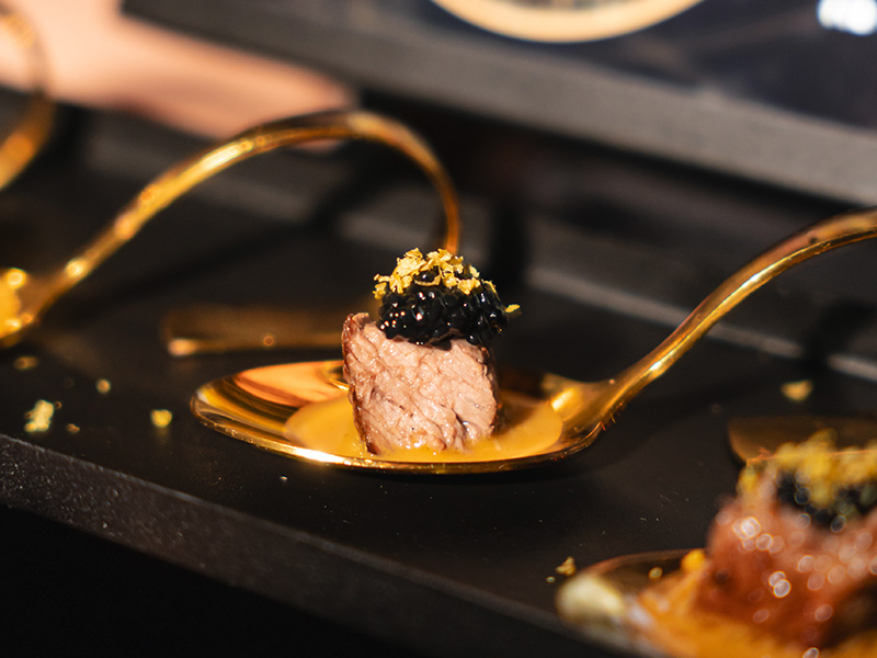img__0009_evento meatology 15